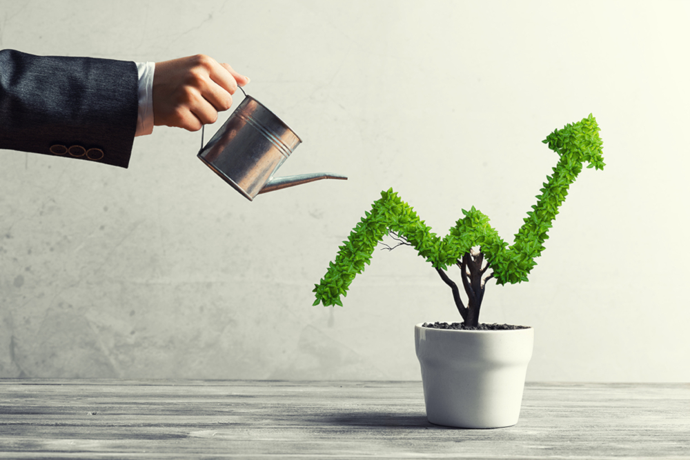 How Szukkubusz Enhances Business Efficiency How Szukkubusz Enhances Business Efficiency